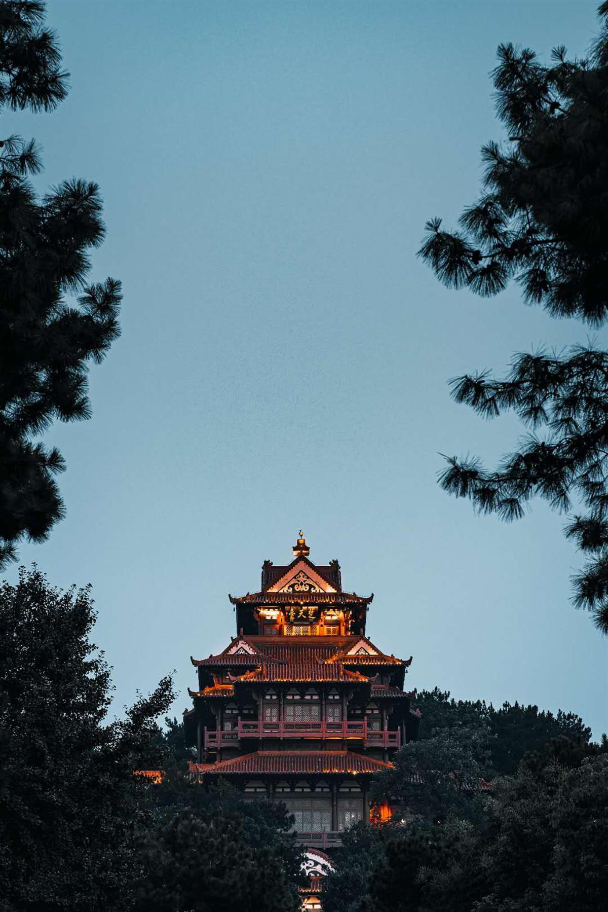 威尼斯wns·8885566